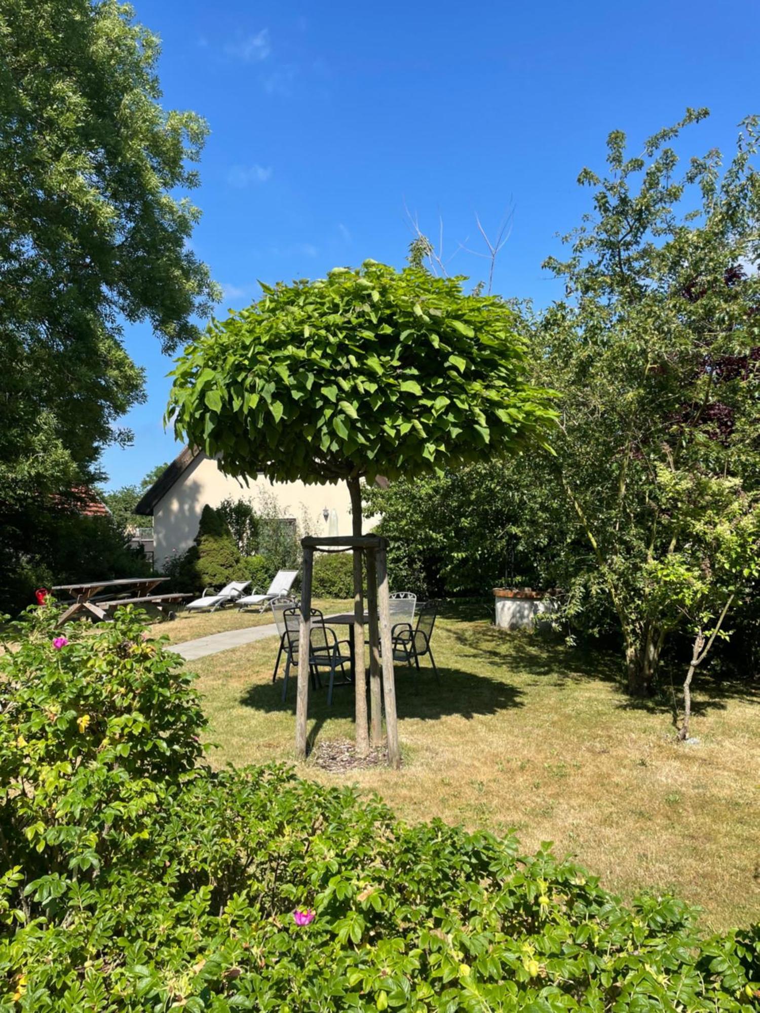 Fischerhus In Krummin - Nur Fuer Urlauber Exterior photo